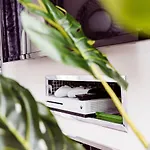 Willow Near Cartmel & Windermere Flookburgh