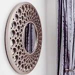 Willow Near Cartmel & Windermere *