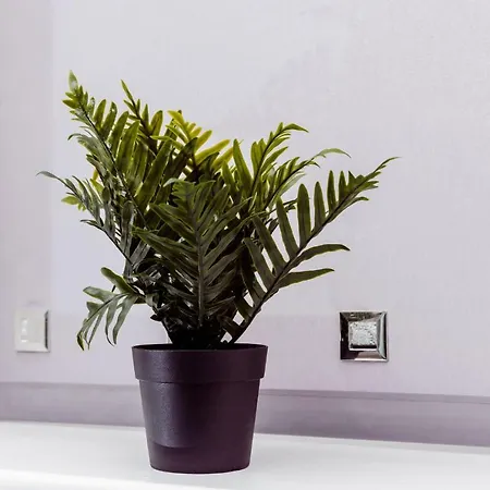 Ferienhaus Willow Near Cartmel & Windermere *