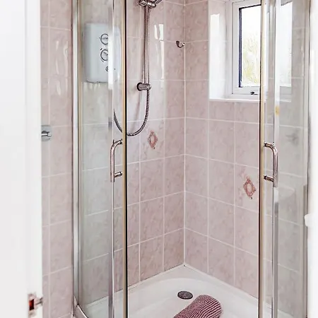 Willow Near Cartmel & Windermere