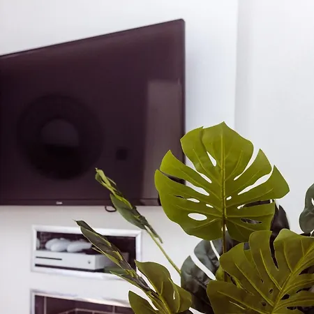 Willow Near Cartmel & Windermere