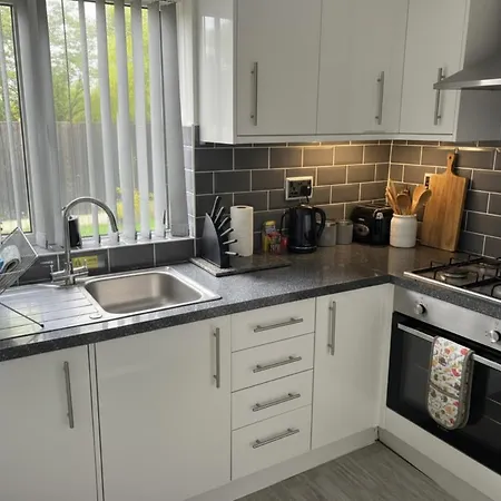 Willow Near Cartmel & Windermere