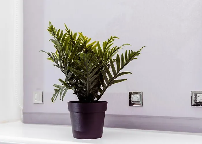 Semesterbostad Willow Near Cartmel & Windermere *