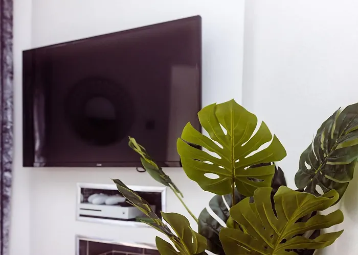 Willow Near Cartmel & Windermere