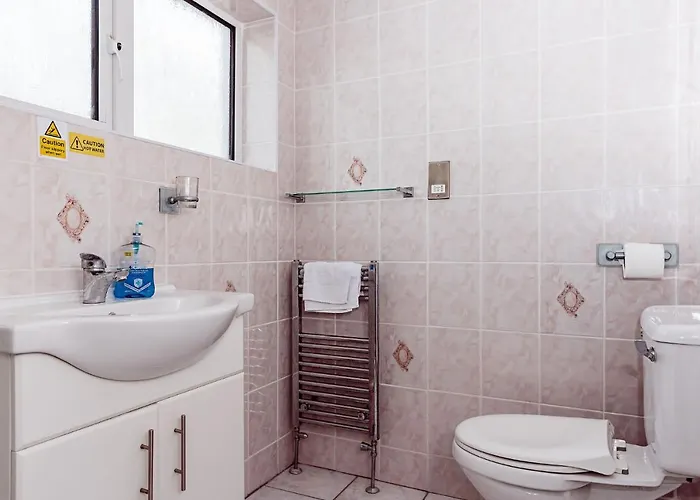 Willow Near Cartmel & Windermere